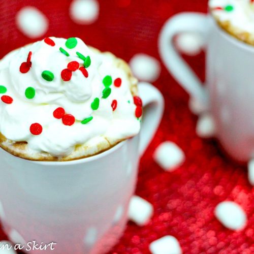 https://www.runninginaskirt.com/wp-content/uploads/2015/12/Crock-Pot-Skinny-Hot-Chocolate-29-4-500x500.jpg