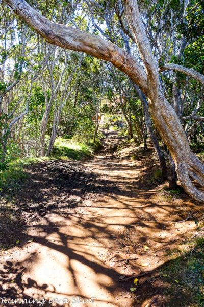 Top 12 Things You Can't Miss in Kauai « Running in a Skirt