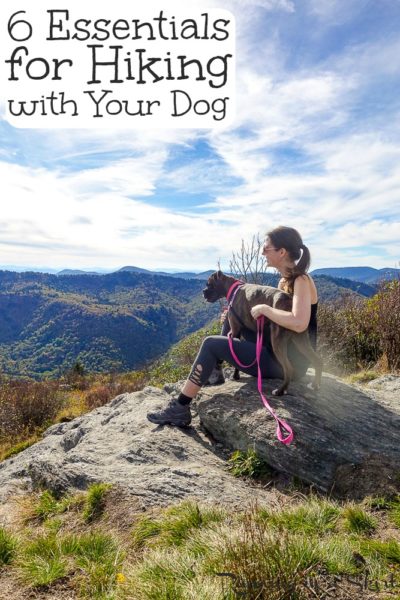 6 Essential Tips for Hiking with Dogs in Any Season