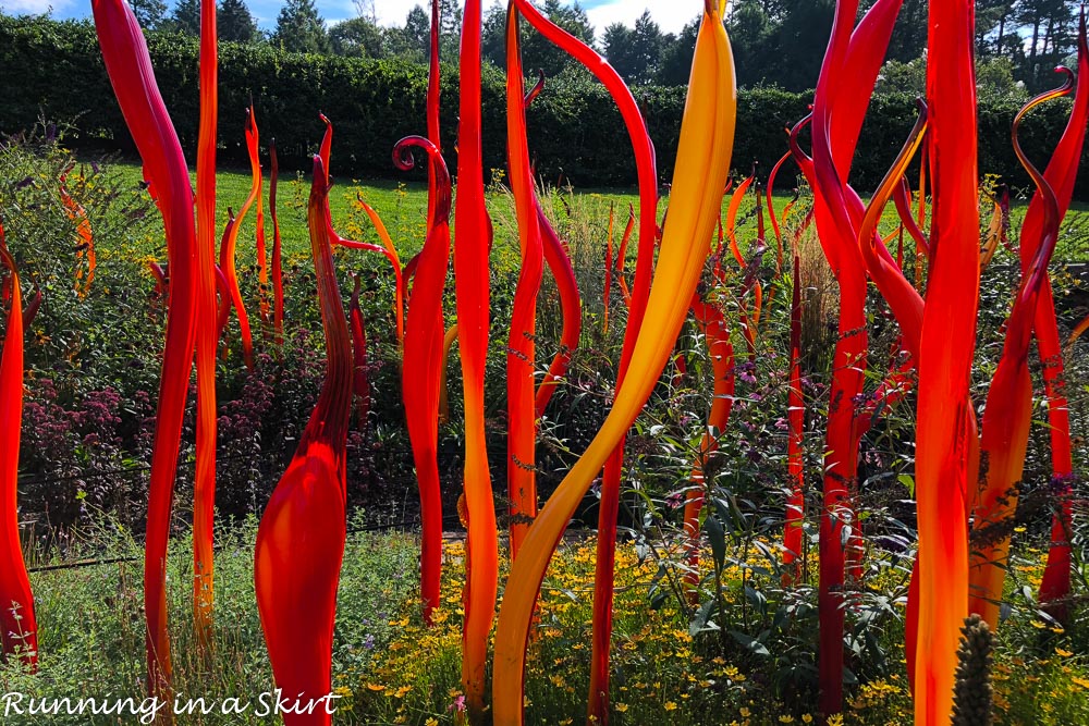 Chihuly at Biltmore Asheville