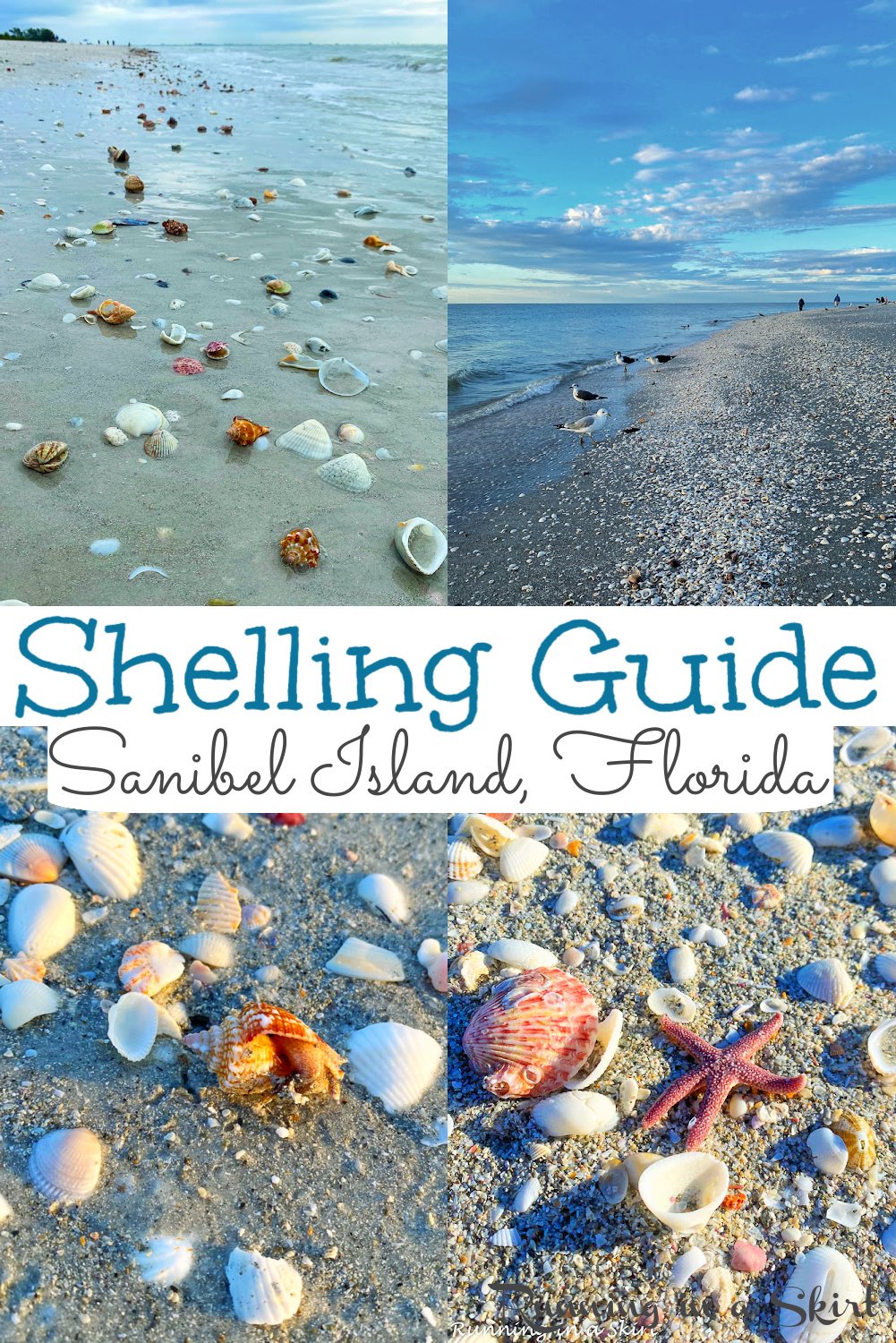 Sanibel Island Shells & Shelling Guide « Running in a Skirt