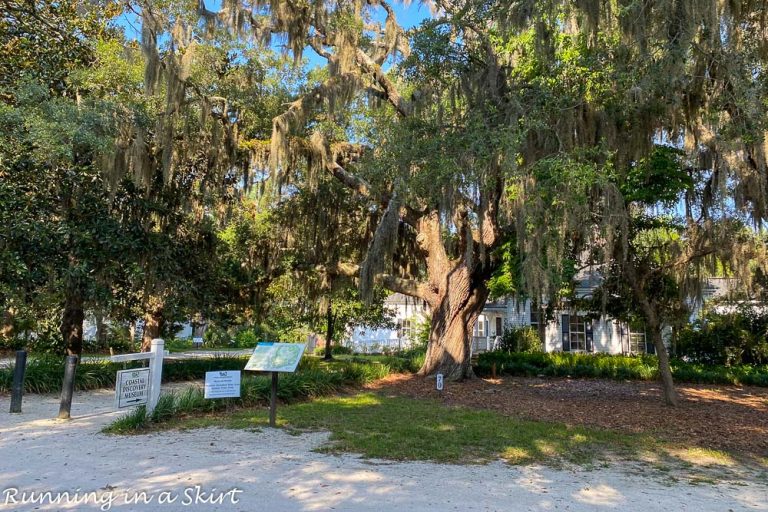 Coastal Discovery Museum - Hilton Head Island « Running in a Skirt