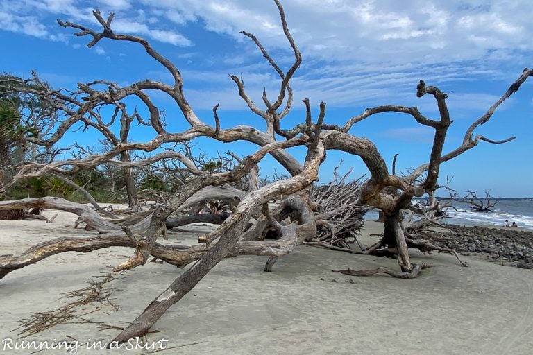 15 Top Things to Do in Jekyll Island Georgia « Running in a Skirt