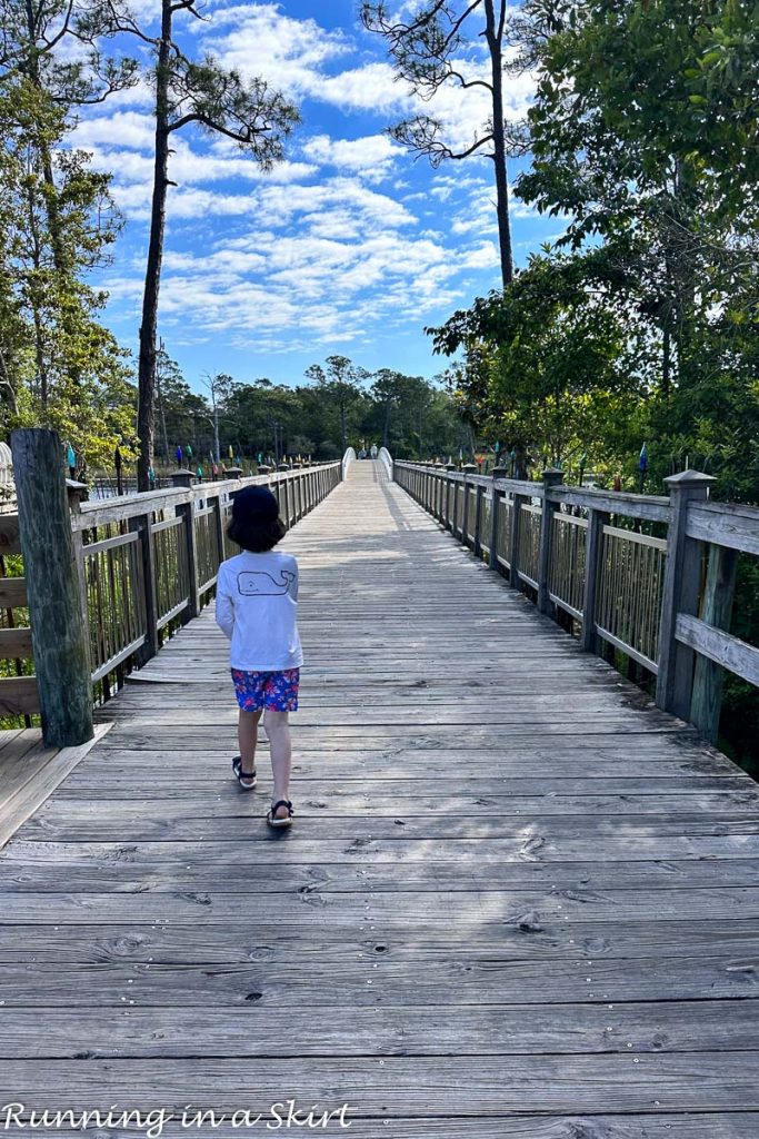 Watercolor Florida Things to Do Bridge Going over the Dune Lake