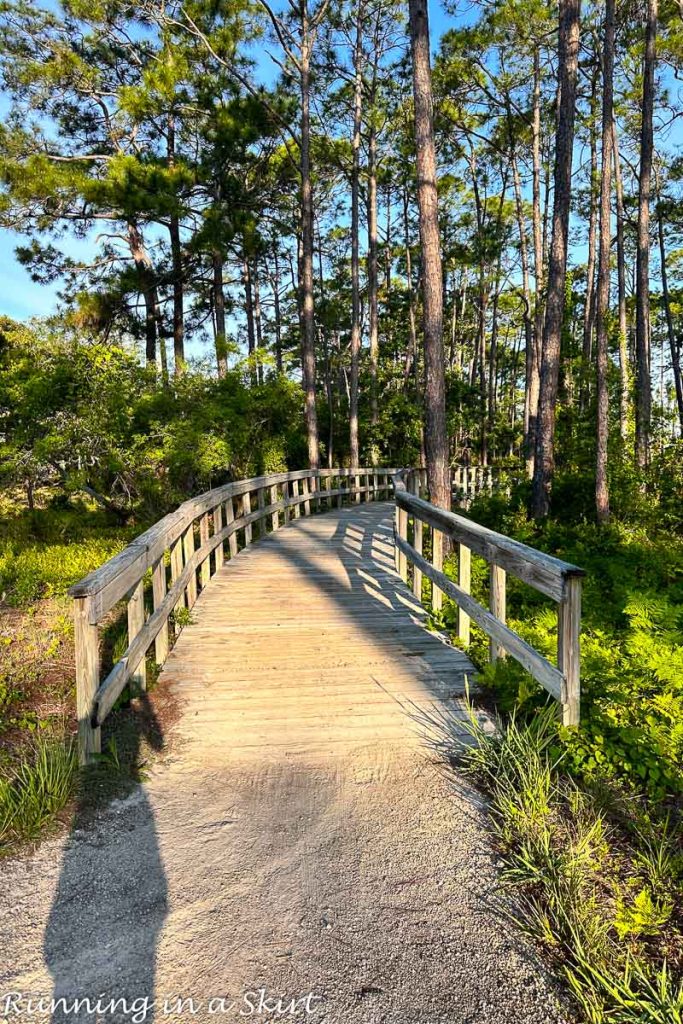 Watercolor Florida Things to Do - Bike Trails