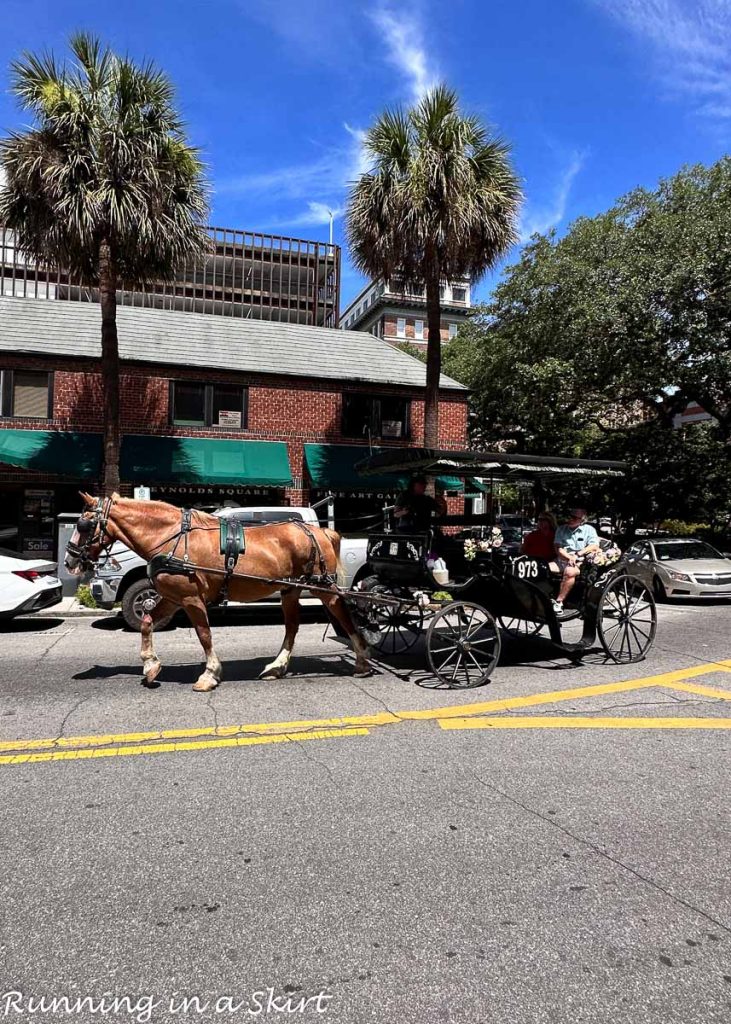 Carriage Ride with Horse 