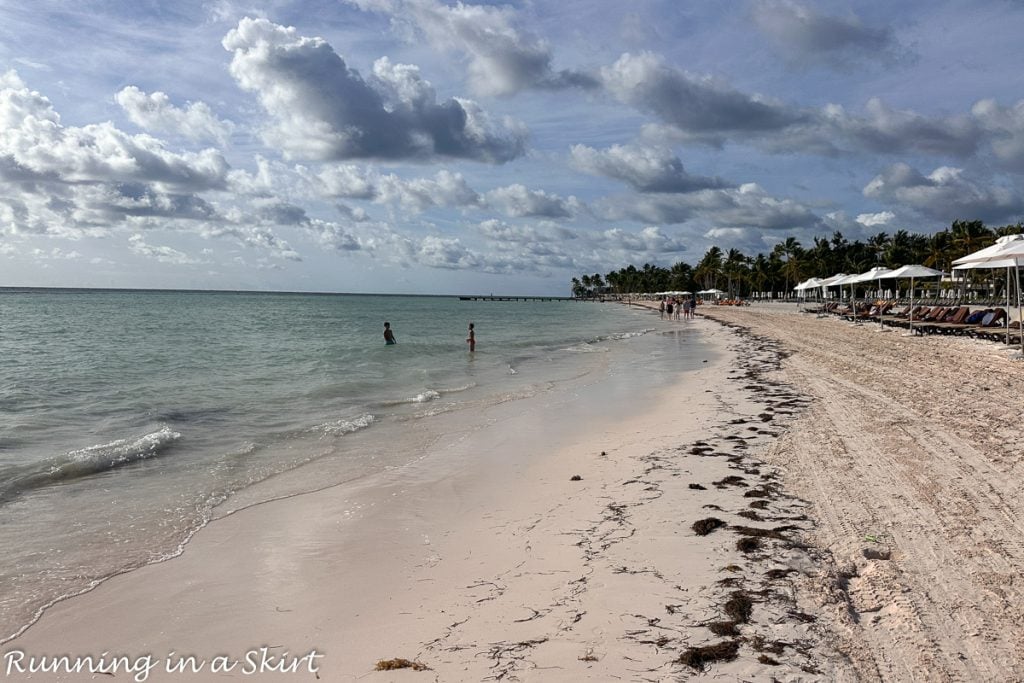 Hyatt Ziva Cap Cana Reviews beach seaweed